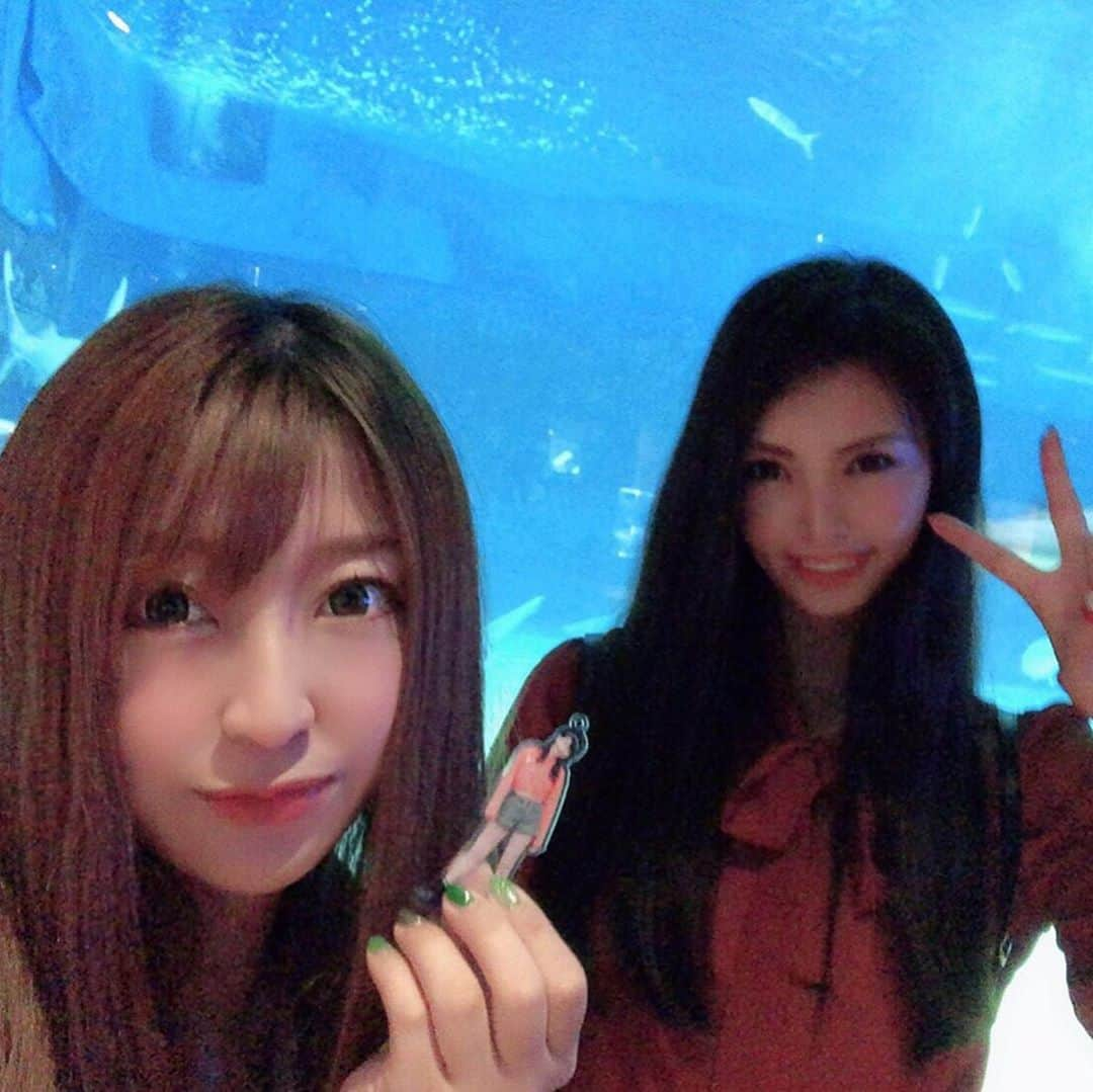 堀えりかさんのインスタグラム写真 - (堀えりかInstagram)「何年振りに美ら海水族館行った☺️❤️ イルカ可愛かった〜🐬💓 . .  #沖縄 #観光 #美ら海水族館」11月13日 9時27分 - xerikax143