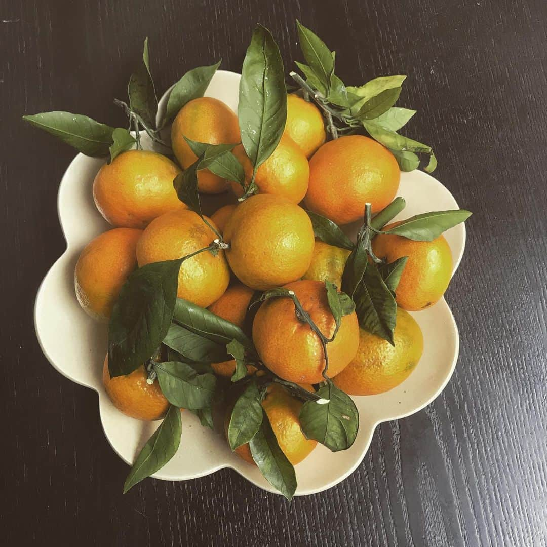 CHARAさんのインスタグラム写真 - (CHARAInstagram)「お隣さんからのお裾分け💓 MIKAN 💃」11月13日 10時24分 - chara_official_