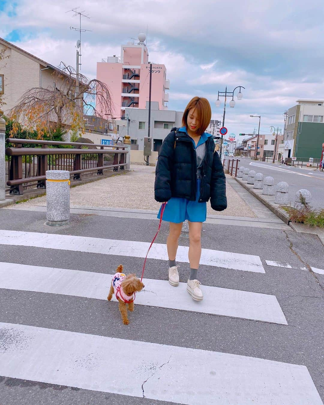 犬童美乃梨さんのインスタグラム写真 - (犬童美乃梨Instagram)「おはよ〜😌🐩 実家でぐっすり眠れました🌙 . . #ティアラ #姫 #姫 #🏰 #👸」11月13日 10時37分 - minudo