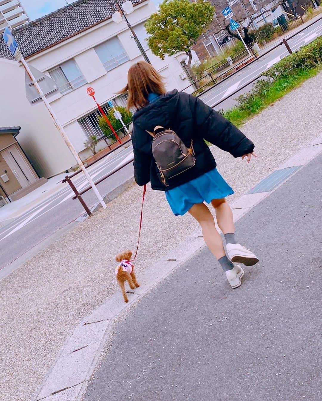 犬童美乃梨さんのインスタグラム写真 - (犬童美乃梨Instagram)「おはよ〜😌🐩 実家でぐっすり眠れました🌙 . . #ティアラ #姫 #姫 #🏰 #👸」11月13日 10時37分 - minudo