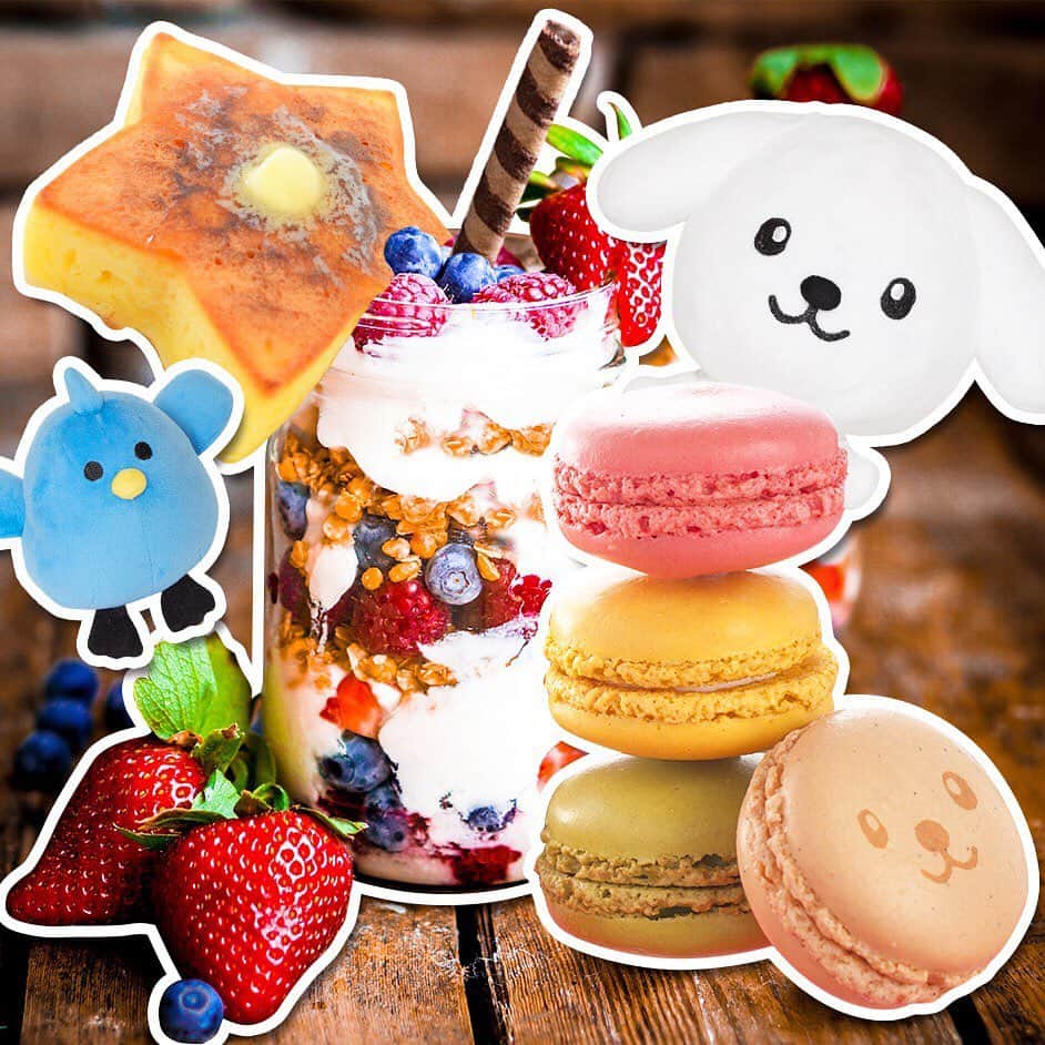 のインスタグラム：「ジャースイーツに大きなマカロン！チリトリと仲良く食べるよ～！ #食欲の秋 #とかいってるけど #一年中食べていたい #食いしん坊な仲間たち」