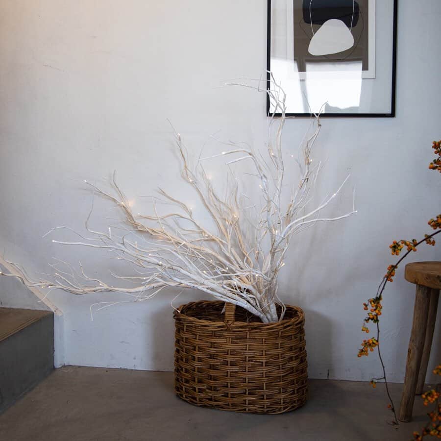 オルネ ド フォイユさんのインスタグラム写真 - (オルネ ド フォイユInstagram)「【 まるでアート作品のようなイルミネーションツリー 】﻿ ﻿ クリスマスツリーとしての使用はもちろん、天井から下げたり壁に立てかけたりできるLED付きの木のツリー。﻿ ﻿ 一本吊るすだけでも存在感のあるホワイトツリーは、自宅のデコレーションとしても、ショップのディスプレイとしても幻想的な光景を作ってくれますよ。﻿ ﻿ ﻿ ●こちらの商品はWEBショップ、不動前店、吉祥寺店にて販売しております。﻿ ﻿ ———————————————﻿ ◯WEBショップに関するお問い合わせ◯﻿ オルネ ド フォイユWEBショップ﻿ TEL：03-6876-7832　﻿ （午前10時～午後6時／土日祝定休）﻿ e-mail：order@orne.co.jp﻿ ﻿ ﻿ #christmastree #クリスマスツリー #ledツリー #noel #ノエル #noeldeco #noeldecoration #ノエルデコレーション #display #ディスプレイ #リビングインテリア #北欧 #北欧インテリア #北欧デザイン #北欧雑貨 #デンマーク #denmark #心地よい暮らし #海外インテリア #暮らしの道具 #インテリア雑貨 #シンプルデザイン #インテリア #暮らしを楽しむ #暮らし #住まい #livstagrammer #ornedefeuilles #オルネドフォイユ」11月13日 10時55分 - ornedefeuilles