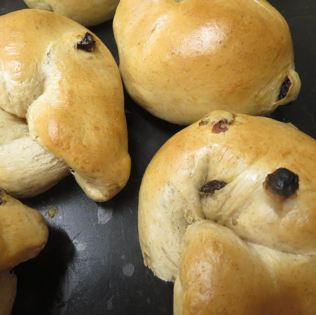 魔女菅原のグルメインスタ