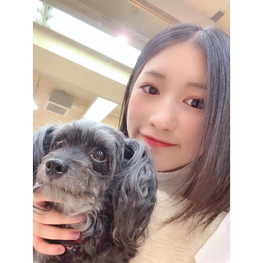 加藤一華さんのインスタグラム写真 - (加藤一華Instagram)「. 癒されわんこ🐶🐶🐶 . #me #girl #美容室 #virgo #犬 #dog」11月13日 11時25分 - ichika_kato