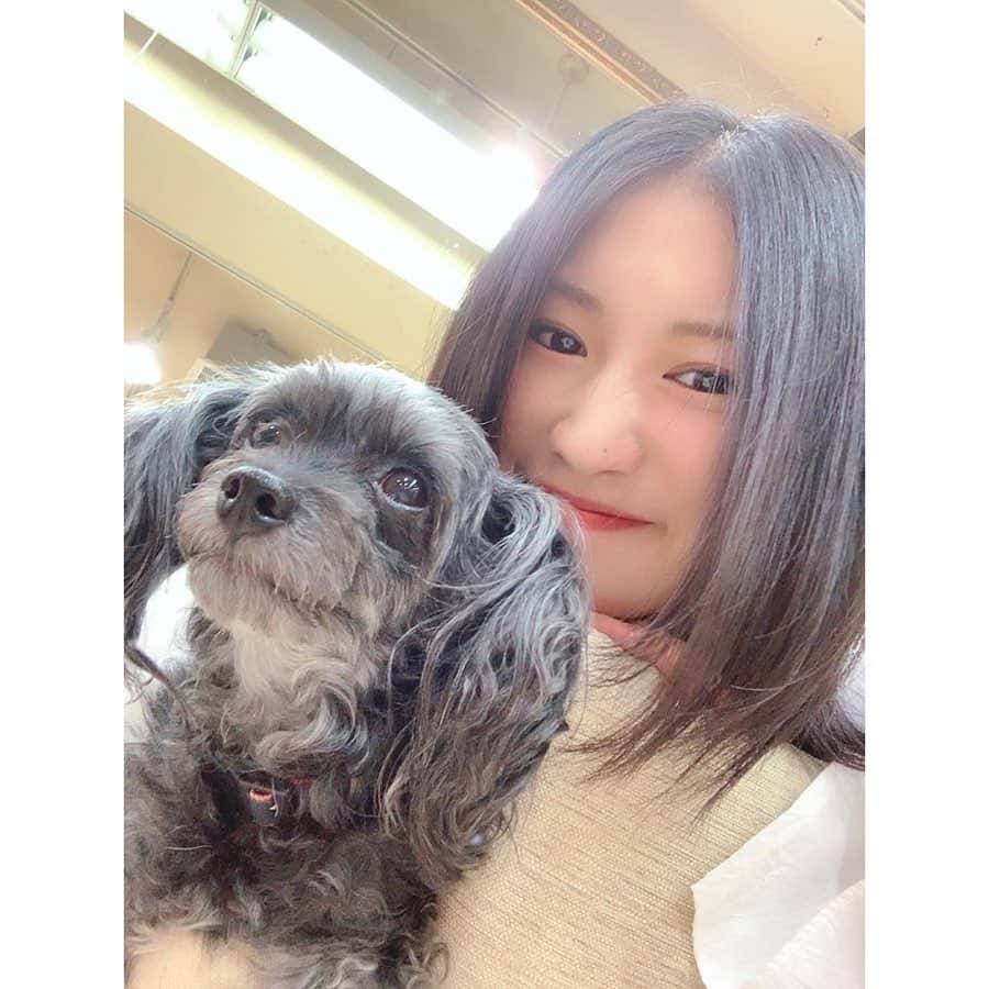 加藤一華さんのインスタグラム写真 - (加藤一華Instagram)「. 癒されわんこ🐶🐶🐶 . #me #girl #美容室 #virgo #犬 #dog」11月13日 11時25分 - ichika_kato