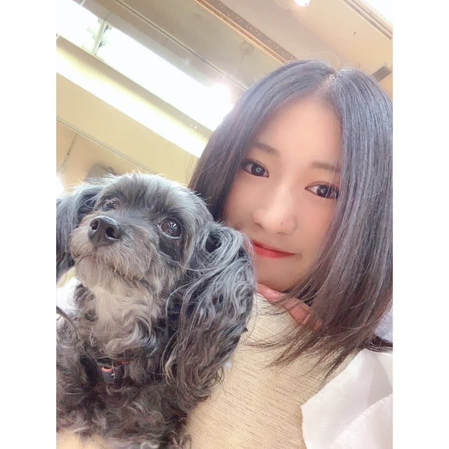 加藤一華さんのインスタグラム写真 - (加藤一華Instagram)「. 癒されわんこ🐶🐶🐶 . #me #girl #美容室 #virgo #犬 #dog」11月13日 11時25分 - ichika_kato