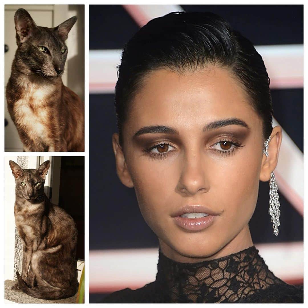 JO BAKERのインスタグラム：「N A O M I • S C O T T 🇬🇧 Smoked coco / #orientallonghair feline inspired eyes for #naomiscott for @charliesangels premiere in LA!! The perfect Smokey brown shadow - I’ve been waiting to find this exact colour for years!!! One shade Smokey created with my new fav @chanel.beauty quad.. #welovecoco  Hair @bridgetbragerhair  Makeup by me #jobakermakeupartist using @chanel.beauty ..more deets and inspo to follow in stories!!! 🖤」