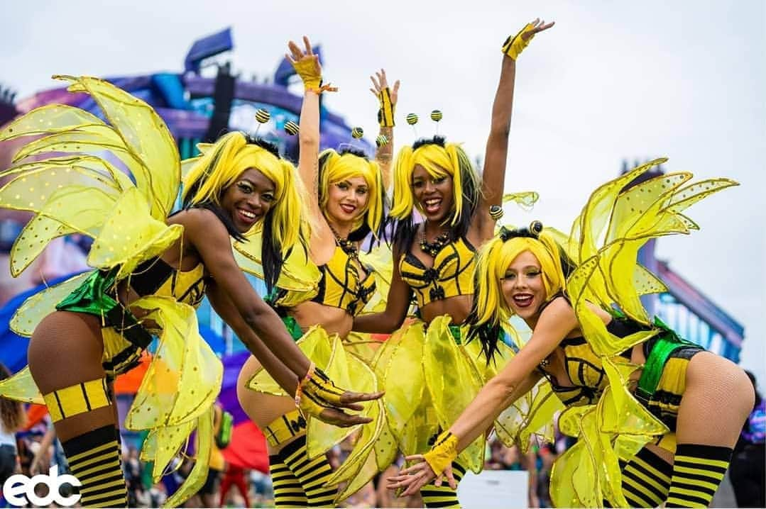 EDC Japanさんのインスタグラム写真 - (EDC JapanInstagram)「先週末開催された@edc_orlandoの写真をチェックしよう！  What an amazing weekend at EDC Orlando! Check out the photos from the weekend! 🎉🙌 Next up, #EDCGuangdong」11月13日 12時42分 - edc_japan