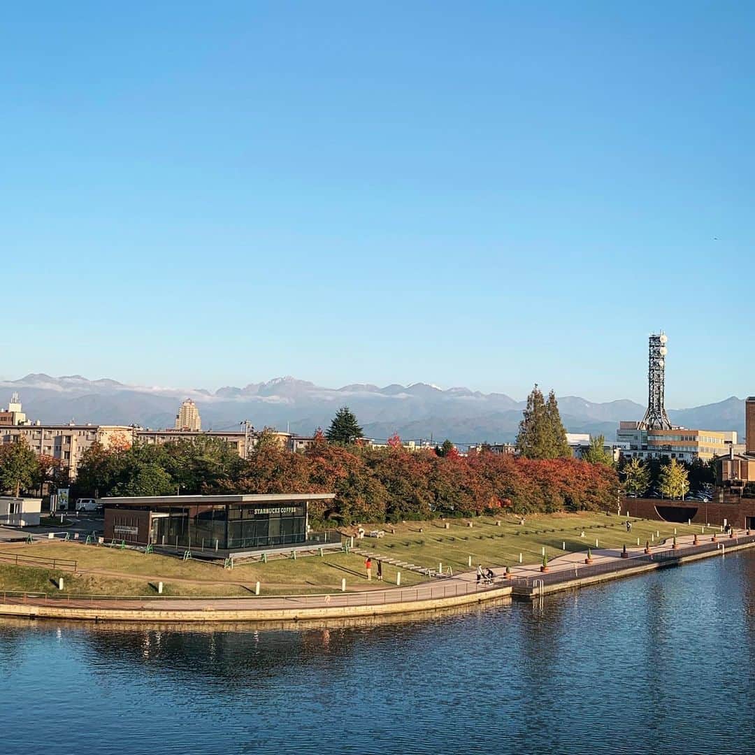 安珠のグルメインスタ