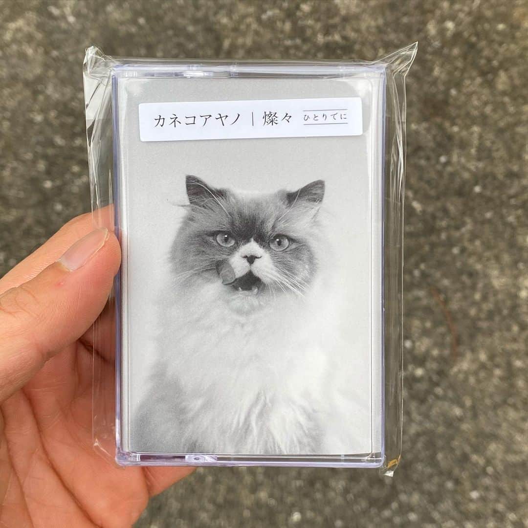 山田稔明さんのインスタグラム写真 - (山田稔明Instagram)「かわいいカセットテープ手に入れた。 #買ったレコード #買ったレコード2019」11月13日 13時37分 - toshiakiyamada