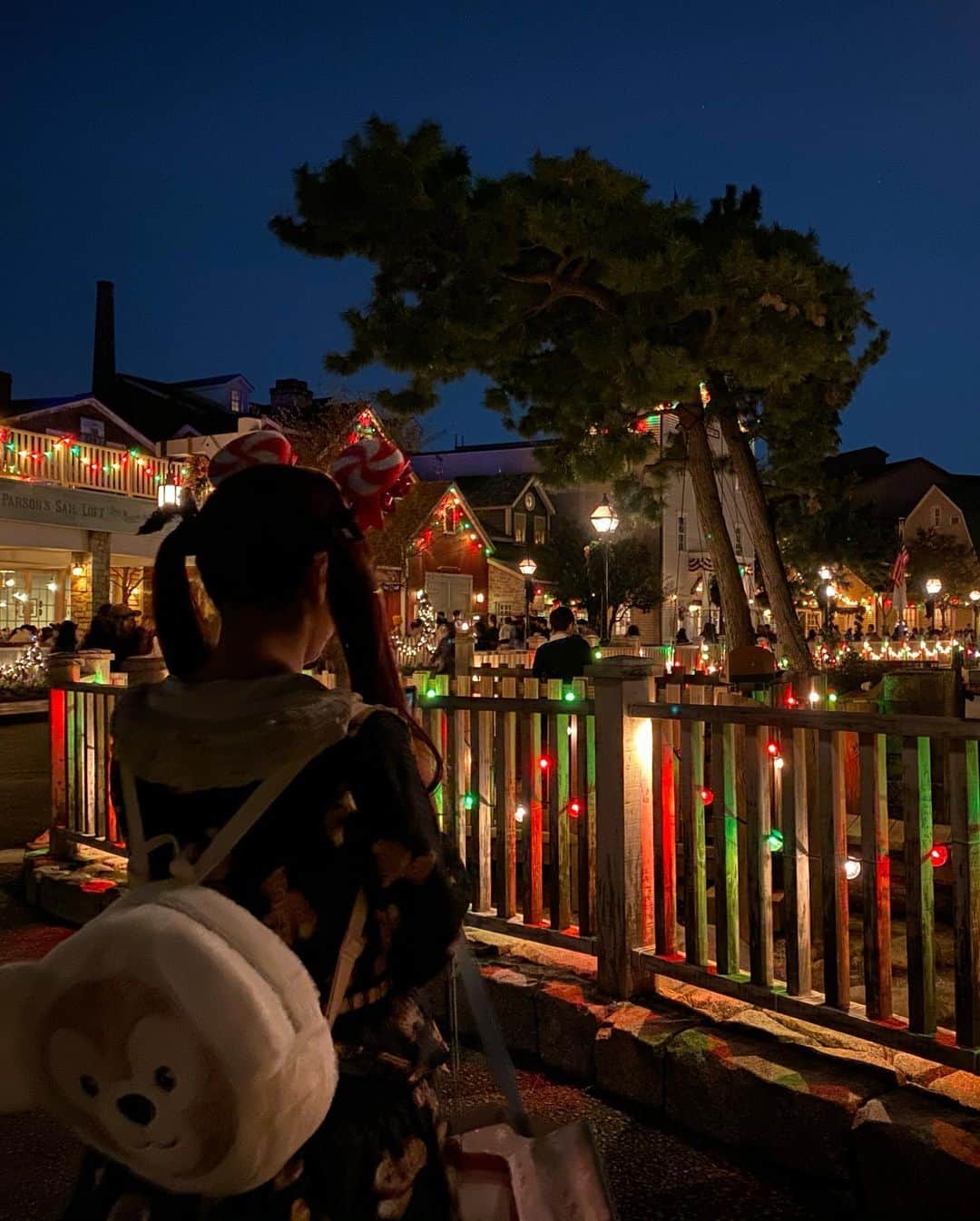 青木美沙子さんのインスタグラム写真 - (青木美沙子Instagram)「クリスマスディズニー満喫しました💓クリスマスディズニーあと5回は行きたい気持ち💓赤と緑とキラキラとツリーをみて冬の訪れを感じました、、、今年もあと2か月きったね」11月13日 13時29分 - misakoaoki