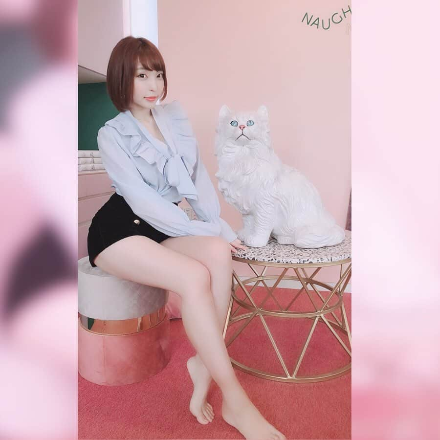 まいてぃ（粕谷まい）さんのインスタグラム写真 - (まいてぃ（粕谷まい）Instagram)「にゃーん🐈💓 ・ ・ ・ ・ ・ ・ ・ ・ I love cat💕💕 ・ ・ ・ ・ #cat #猫 #グラビアアイドル #グラドル #粕谷まい #恵比寿マスカッツ #l4l #japanese #japanesegirl #japanesegravure #asiangirls #japaneseidol #cute #gravureidol #写真好きな人と繋がりたい  #ショートヘア #tokyo #japan #me」11月13日 13時40分 - maity_0917