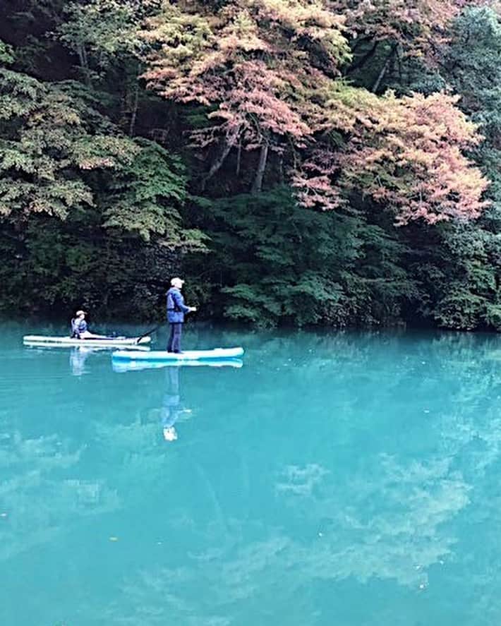 田沢美亜さんのインスタグラム写真 - (田沢美亜Instagram)「湖SUPにハマった今年の秋。 早朝の湖の清々しさに心も体も大喜び。 鏡のような水面に周りの緑が映し出される景色はなんとも神秘的。上と下の感覚が分からなくなってしまうなんとも不思議な快感なんです。  湖SUPも来春まで暫しお預け。 春の湖もエネルギーに満ちていてきっと素敵だろうな。待ち遠しい。  最後の2枚の写真は四万湖。 ブルーの色彩に引き込まれてしまうほどの美しさ。紅葉との色彩が格別でした。  thank you 阿部くん　@irieonsup  #洞元湖 #水上 #四万湖 #中之条 #群馬県 #美しい日本の四季 #irieonsup #湖サップ #beautifuljapan」11月13日 14時00分 - miatazawa