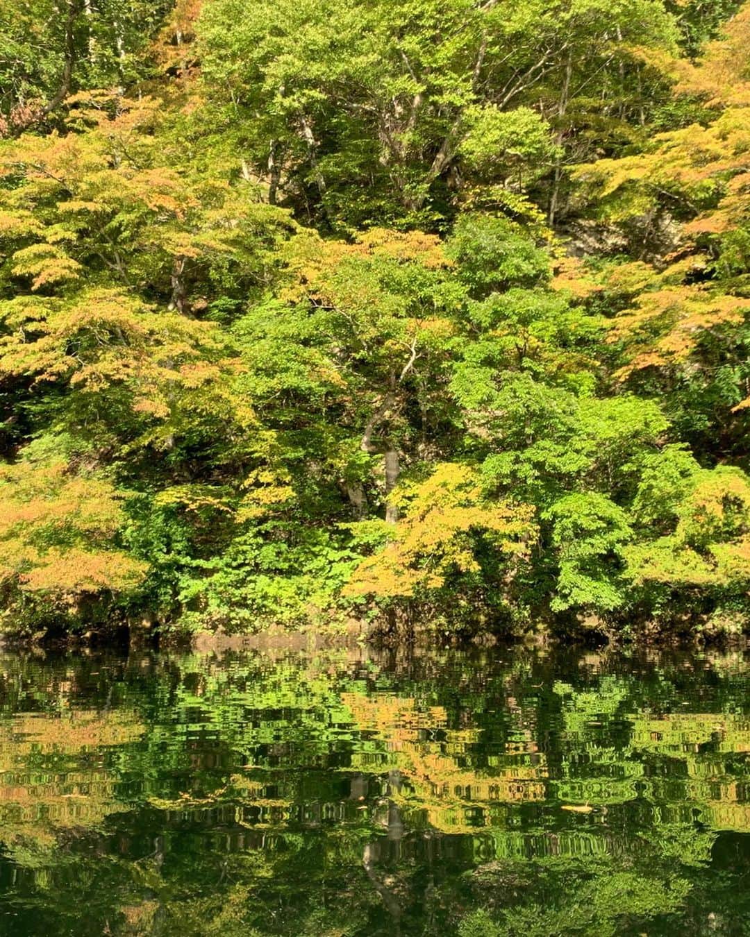 田沢美亜さんのインスタグラム写真 - (田沢美亜Instagram)「湖SUPにハマった今年の秋。 早朝の湖の清々しさに心も体も大喜び。 鏡のような水面に周りの緑が映し出される景色はなんとも神秘的。上と下の感覚が分からなくなってしまうなんとも不思議な快感なんです。  湖SUPも来春まで暫しお預け。 春の湖もエネルギーに満ちていてきっと素敵だろうな。待ち遠しい。  最後の2枚の写真は四万湖。 ブルーの色彩に引き込まれてしまうほどの美しさ。紅葉との色彩が格別でした。  thank you 阿部くん　@irieonsup  #洞元湖 #水上 #四万湖 #中之条 #群馬県 #美しい日本の四季 #irieonsup #湖サップ #beautifuljapan」11月13日 14時00分 - miatazawa