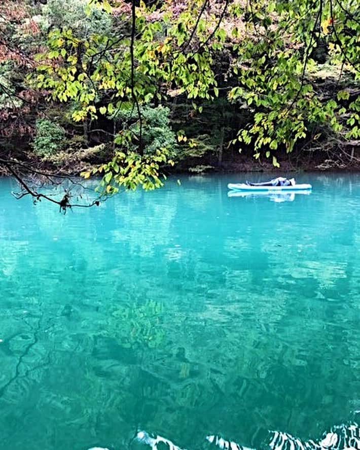 田沢美亜さんのインスタグラム写真 - (田沢美亜Instagram)「湖SUPにハマった今年の秋。 早朝の湖の清々しさに心も体も大喜び。 鏡のような水面に周りの緑が映し出される景色はなんとも神秘的。上と下の感覚が分からなくなってしまうなんとも不思議な快感なんです。  湖SUPも来春まで暫しお預け。 春の湖もエネルギーに満ちていてきっと素敵だろうな。待ち遠しい。  最後の2枚の写真は四万湖。 ブルーの色彩に引き込まれてしまうほどの美しさ。紅葉との色彩が格別でした。  thank you 阿部くん　@irieonsup  #洞元湖 #水上 #四万湖 #中之条 #群馬県 #美しい日本の四季 #irieonsup #湖サップ #beautifuljapan」11月13日 14時00分 - miatazawa