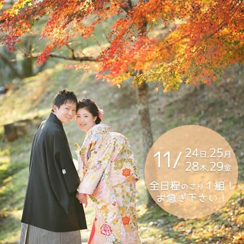 studioTVB NARAさんのインスタグラム写真 - (studioTVB NARAInstagram)「キャンセル枠開放しました！ 11月24,25,28,29日、各日程のこり1枠ロケーション撮影の空きがあります。 早い者勝ちとなるので、是非お急ぎくださいませ♪ . ☎️ 0742-25-5101 ✉️ nara@st-tvb.jp . #紅葉 #紅葉前撮り #前撮り  #結婚式準備  #花嫁  #プレ花嫁  #卒花嫁  #ヘアメイク  #ヘアアレンジ  #ヘアスタイル  #色打掛  #ドレス試着  #weddingphotographer  #weddingphotography  #bridalphoto  #결혼  #portrait  #IGersjp  #team_jp_  #bestjapanpics  #icu_japan  #wu_japan  #ig_photooftheday  #日本中のプレ花嫁さんと繋がりたい  #cherish_photo_days  #チェリフォト #lovers_nippon_portrait  #marry花嫁  #d_weddingphoto #スタジオTVB奈良」11月14日 0時19分 - studiotvb_nara