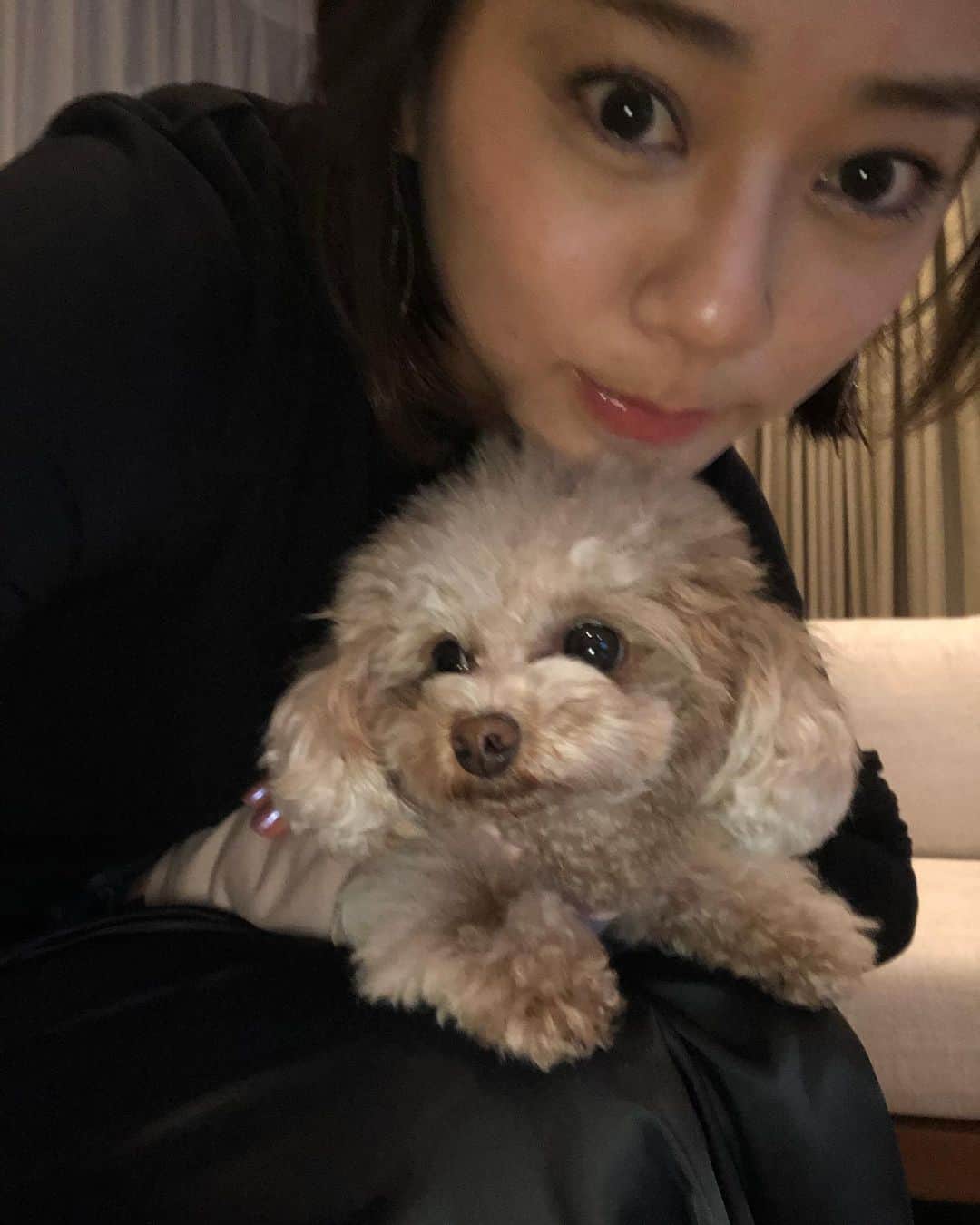 のインスタグラム：「🐶🐶わんわん さらたんかわいいかわいいよおたまらないよお So cute 🥰🥰」