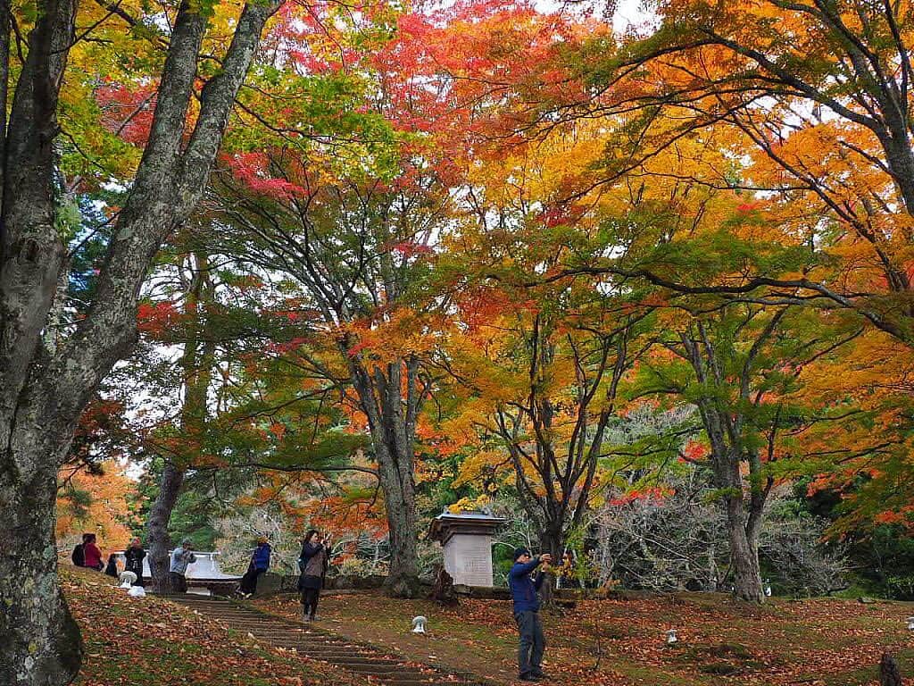 Rediscover Fukushimaさんのインスタグラム写真 - (Rediscover FukushimaInstagram)「Amazing red leaves at Hanitsu Shrine in Inawashiro Town 🍁🍁🍁 make sure to visit soon」11月13日 16時28分 - rediscoverfukushima