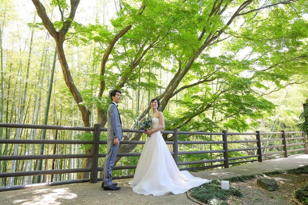 舞子ホテルのインスタグラム：「緑豊かな舞子ホテルならではの1枚♡  #maikohotel #maikohotelwedding #maiko #wedding #舞子 #舞子ホテル #舞子ホテルウェディング #ウェディング #wedding #結婚式 #笑顔 #smile  #love #プレ花嫁 #神戸花嫁#kimono #着物 #和装 #ウエディングフォト#weddingphoto #weddingbouquet #weddinghairstyles #antique #classic #大正ロマン #レトロ #和モダン #2019秋婚」