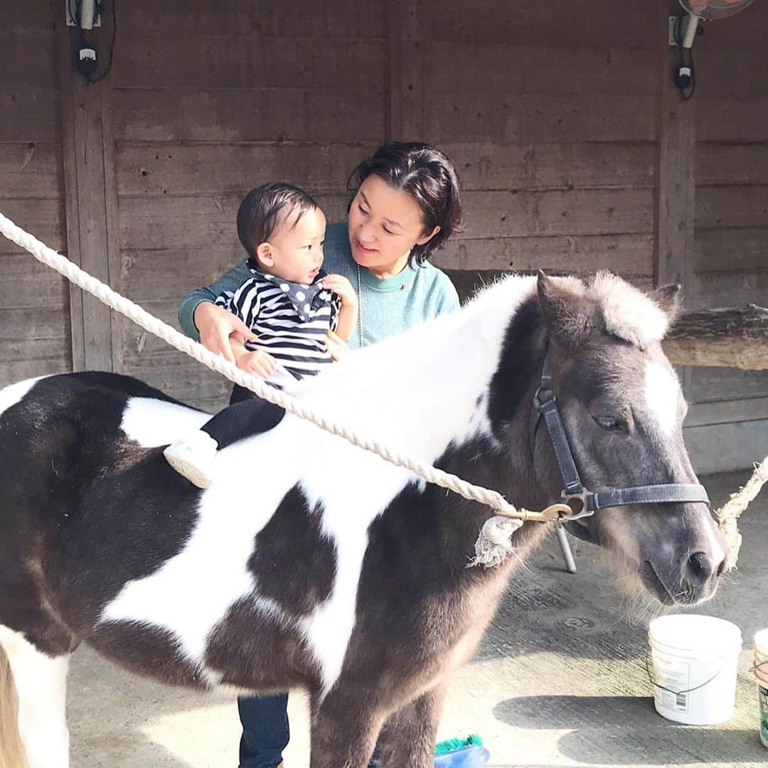菅井悦子さんのインスタグラム写真 - (菅井悦子Instagram)「初めて馬に触れ、乗せてもらいました。 『初めて』こそ、丁寧に、そして正確に教えてもらう大切さはどの分野においても同じだと実感しました。  初めての乗馬がミッキーさん、おゆみさんご夫婦のご指導のもとで本当によかったー🐴🐴🥰 ※息子が『うーま』と言えるようになって驚き😳！ #北熊本乗馬クラブ」11月13日 16時46分 - etsuko313