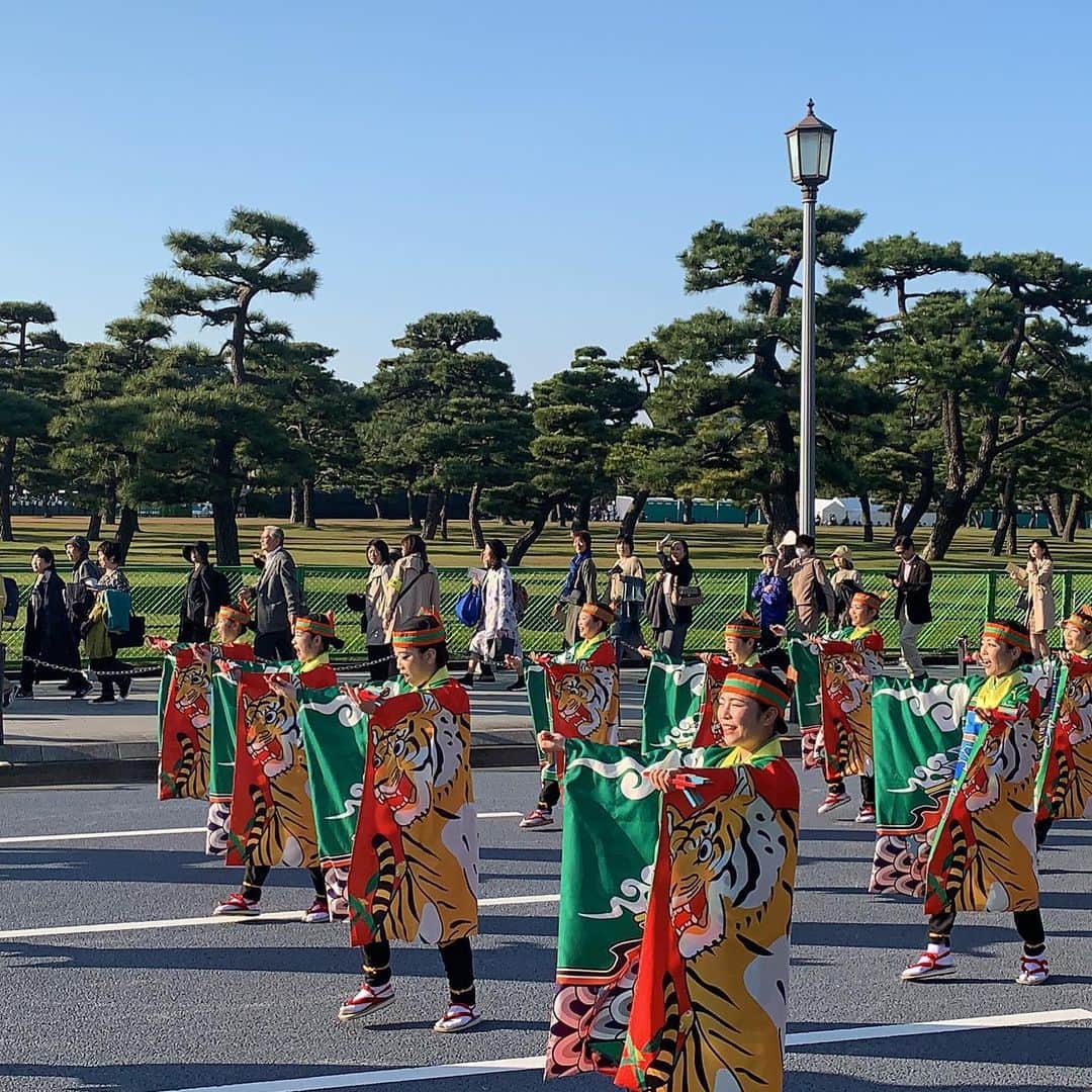 山下耀子さんのインスタグラム写真 - (山下耀子Instagram)「＼よいさ！／＼ほいさ！／ . 素敵な演舞を見せていただきました！ 先日の #奉祝まつり にて  #高知県 の伝統芸能 #よさこい を代表して 今年本祭で大賞を飾った #とらっくよさこい さんの 演舞をお裾分けです☺️ . 高知がメインのチームですが、、、 東京でこの120名規模の演舞を見られるとは🥺🥺🥺 本当におめでとうございます！ 地方車も #奉祝パレード 仕様に😊 . 誘ってくれた後輩ちゃんありがとね！ おかげさまでとっても素敵な体験ができました🥰🥰🥰 . それにしてもえい天気やにゃ〜」11月13日 17時05分 - twinkleyesy