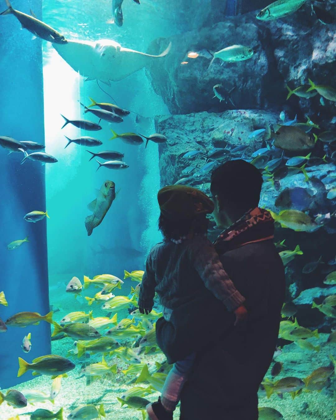 尾形沙耶香さんのインスタグラム写真 - (尾形沙耶香Instagram)「#aquarium #水族館  生き物への興味をきっかけに、海が抱える問題にも目を向けてくれたら嬉しい。  #nomoreplastic 💚」11月13日 17時06分 - sayakaogata