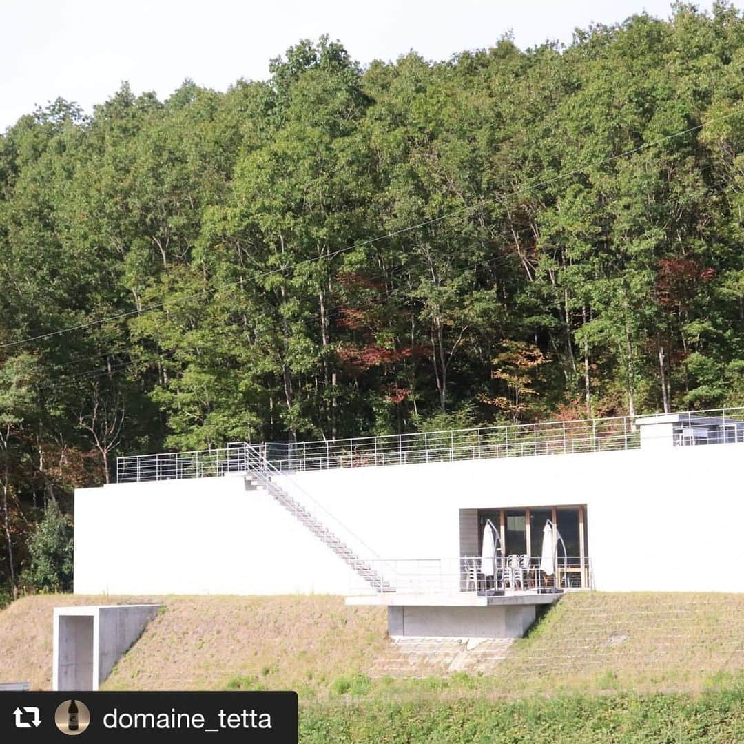 片山正通さんのインスタグラム写真 - (片山正通Instagram)「#repost @domaine_tetta via @PhotoAroundApp  紅葉🍁が綺麗に色づいています。 紅葉を見ながら最高のロケーションでtetta で、ランチはいかがですか。 【平日ランチ】¥1100〜 ○バケットサンド ○チャバタサンド ○草間産そば粉ガレット メインはその日により変わります。 セット ○温かいキクイモのスープ ○鳥取の葉野菜サラダ スープとサラダはセットで付きます。 この季節しか食べれない野菜を使っています。 【週末ランチ】¥2750〜 ○前菜盛り合わせ ○メイン(魚、肉選べます) ○デザート ワインとのマリアージュをお楽しみ頂ける内容となっています。 【予約受付中】 11/14 平日ランチ予約○ 11/15 平日ランチ予約○ 11/16 週末ランチ11:00△ 13:00△ 11/17 終日貸切 11/18 休 11/19 休 11/20 平日ランチ予約○ 11/21 平日ランチ予約○ 11/22 平日ランチ予約○ 11/23 週末ランチ11:00× 12時半〜貸切 11/24 週末ランチ11:00○ 13:00○ 11/25 休 11/26休 11/27 平日ランチ予約○ 11/28 平日ランチ予約○ 11/29 ランチ貸切 11/30 週末ランチ11:00○ 13:00○  ランチのお問い合わせは℡08029162769へお願いします。 #紅葉 #おかやまグルメ #岡山グルメ #岡山 #岡山カフェ #新見 #新見市」11月13日 17時10分 - masamichi_katayama