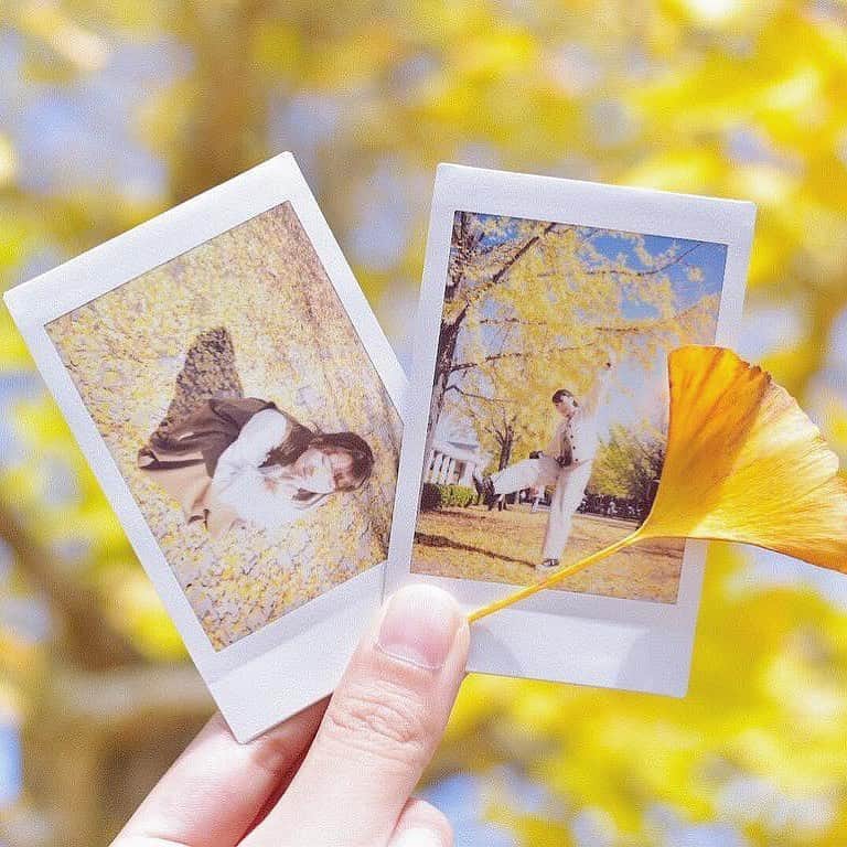 Fujifilm instaxさんのインスタグラム写真 - (Fujifilm instaxInstagram)「.﻿ #チェキ で投稿して頂いた @ujichanco さんのチェキをご紹介！﻿ ﻿ チェキを使って秋を思いっきり楽しんで♪﻿ ずっと眺めていたくなるような綺麗な紅葉を、お土産として持って帰りたいですね☆﻿ ﻿ ただいま、チェキの魅力をファンの方と一緒に発信し広げる「instax Life プロジェクト」を開催中！チェキが好きなら、カメラを持っていない人でも大歓迎☆﻿ みなさまのご参加を心よりお待ちしております♪﻿ ﻿ 詳しくはこちらから☞https://instax.jp/instaxlifeproject/﻿ ﻿ #instax #instaxcamera #instaxmini #cheki #チェキ #FUJIFILM #富士フイルム #紅葉 #イチョウ #あき #黄色の絨毯 #お出かけ日和 #チェキのある生活 #メモリアルチェキ #instaxlife」11月13日 18時00分 - cheki_instax