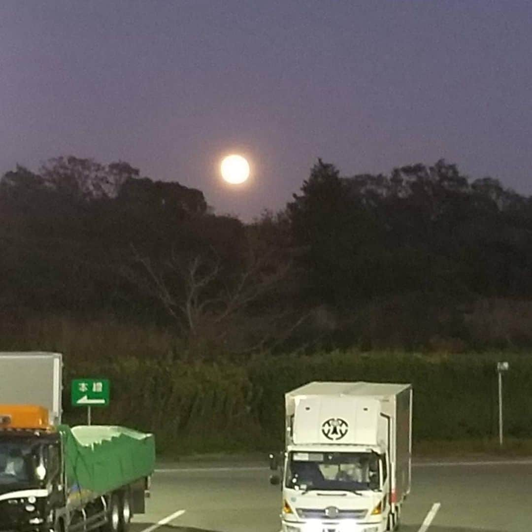 羽田美智子さんのインスタグラム写真 - (羽田美智子Instagram)「昨日は三重県から愛知県を旅ロケしてまして、可愛い名前のSAで休憩を。SA『あの』だって(笑)、、、💕 すると丸い丸い満月が山の合間から顔を出してくれて🌝  絶叫しそうでした🌝  そしてエビマヨかまぼこを買ったら、、これも満月のようで🌕  なんかとてもお目出度い有難い気持ちになった旅です❤️ #三重県 #愛知県 #旅 #満月」11月13日 18時04分 - michikohada