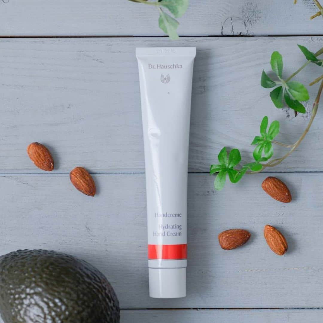 Dr. Hauschka Japan ドクターハウシュカのインスタグラム