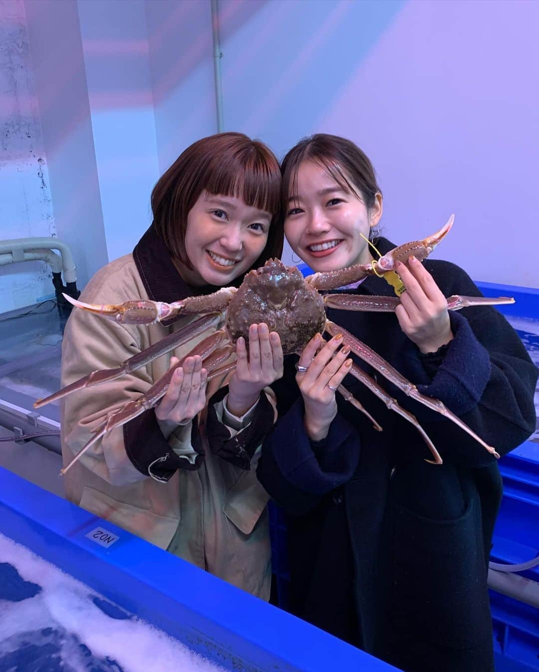 柴田紗希さんのインスタグラム写真 - (柴田紗希Instagram)「蟹食べツアーin北陸！！！🦀 撮影でちーちゃんと北陸に来ています。 今日は福井へ行きました。 蟹を食べつくすという本当に贅沢なお仕事をさせて頂いております🙏🏻 明日は金沢、明後日は富山です。 どこかで会ったら声かけて下さいな♡ あぁそれにしても蟹が美味しい、、、 こんな美味しくて良いのだろうか、、、 成前さんではそのままの蟹も持たせて頂いたよ。そしてお弁当絶品すぎました。 6〜8枚目はらでんさんの御膳です🤤 . #美味なる北陸 #かにを食べに北陸へ #かに #かに解禁 #北陸 #福井県 #promotion  #しば旅」11月13日 18時13分 - shibasaaki
