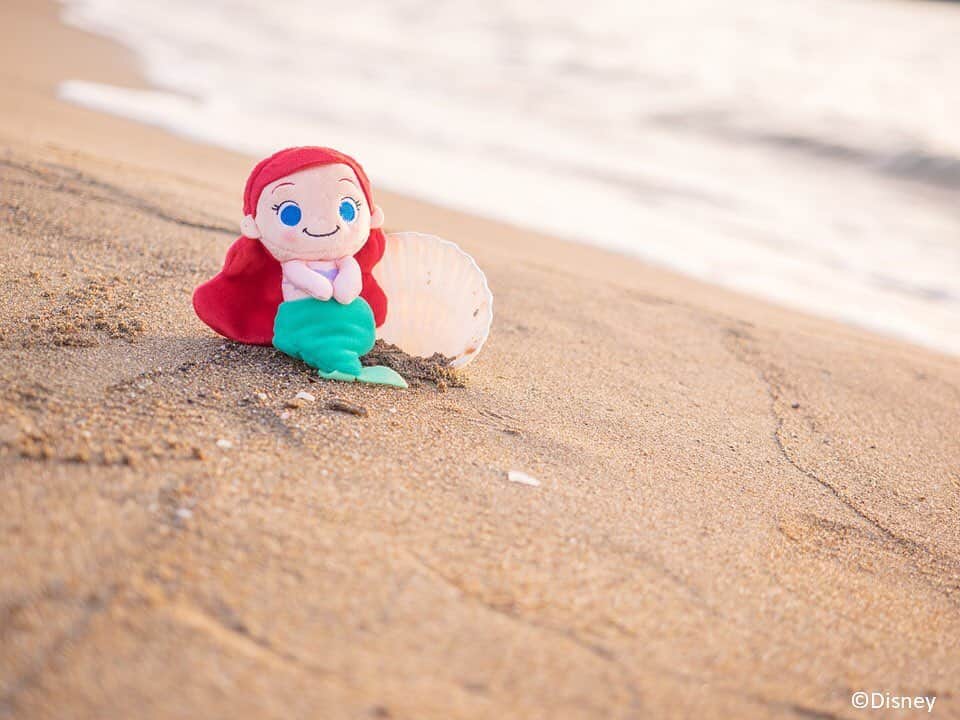 ちょっこりさん【公式】のインスタグラム：「#20191113 * 夏の海もいいけど、冬の海もすてきだね。 アリエルはなにかをみつけたみたい♪ みんなにあとで見せようね。 * #ちょっこりさん #ディズニー#ディズニーグッズ #ぬい撮り#ぬいぐるみ #chokkorisan#disney #takaratomyarts #ぬいぐるみと撮り隊 #disney写真部 #ディズニーグッズ #ちょっこりさん好きな人とつながりたい」