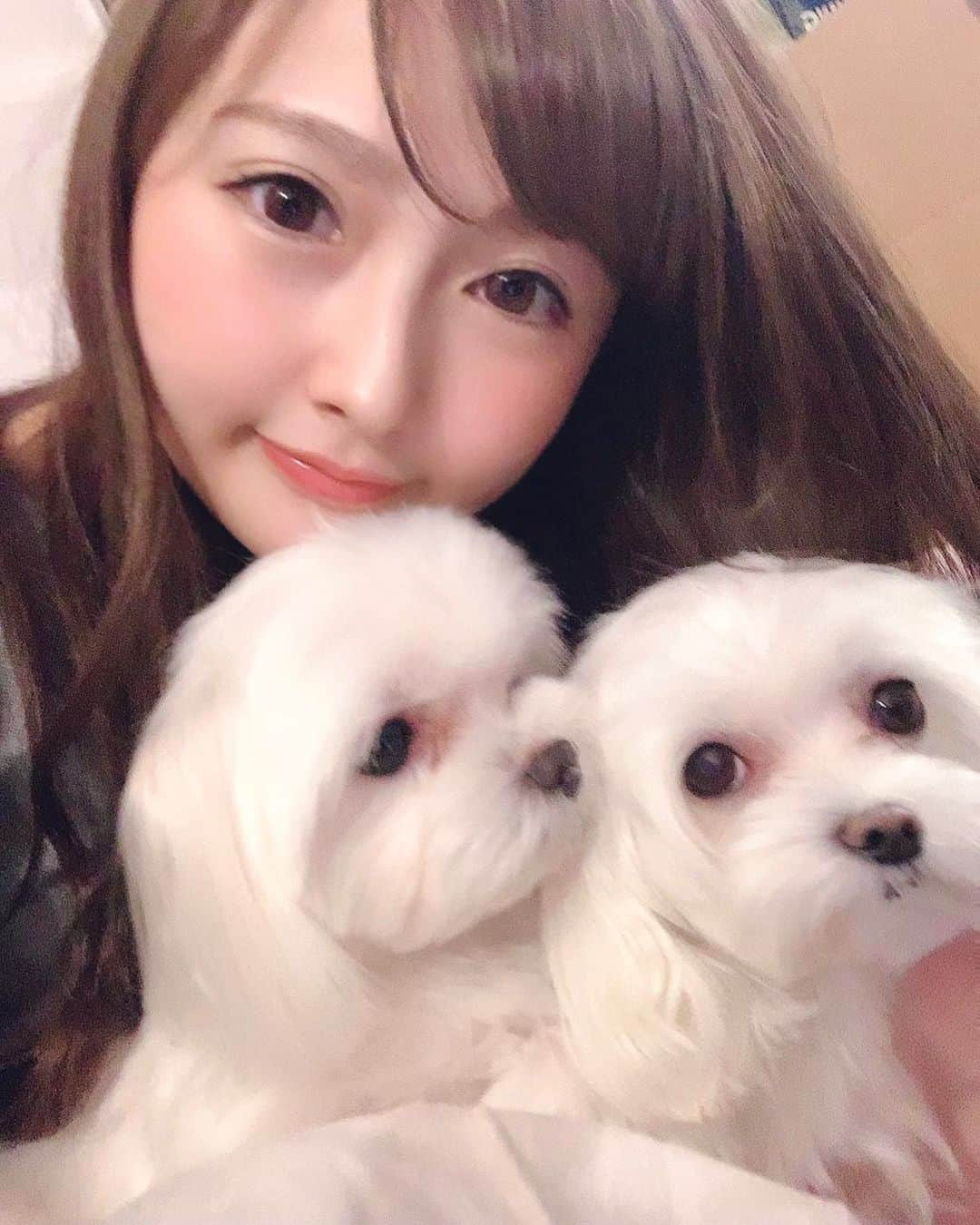 西村笑花さんのインスタグラム写真 - (西村笑花Instagram)「🐩 ・ ・ 愛しのミルメロちゃん❤︎ #癒し #愛犬 #可愛い #かわいすぎる #🐩」11月13日 19時19分 - emika_nishimura