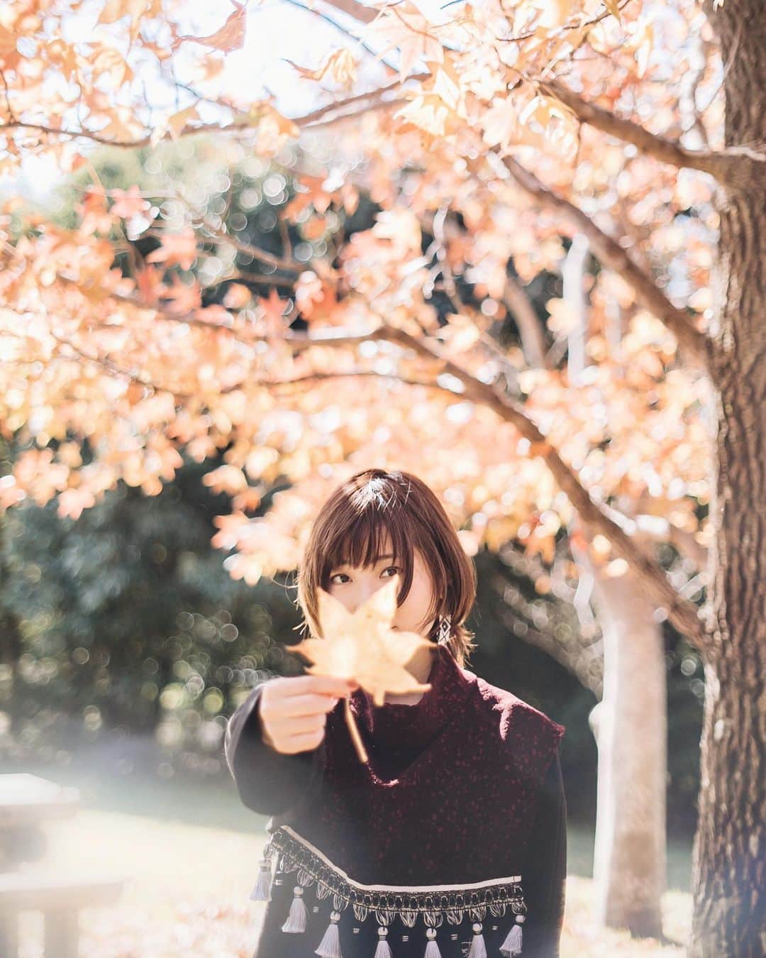 のインスタグラム：「﻿ ﻿ 🍁　🍁　🍁﻿ ﻿ ﻿ #autumn﻿ ﻿ ﻿ もっと北海道に居たい﻿ ですが早くも明日﻿ 関西へ戻ります…﻿ ﻿ 次は北海道で絶景の旅をしよう﻿」