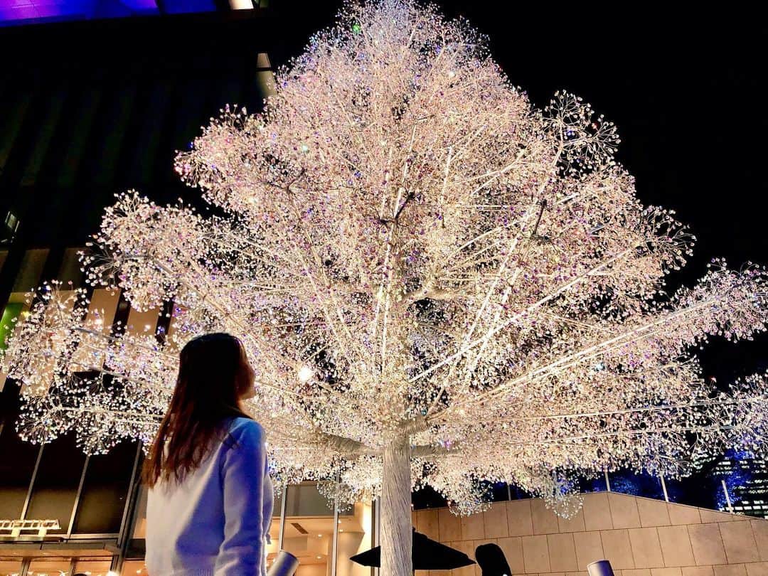 金泉紗恵子さんのインスタグラム写真 - (金泉紗恵子Instagram)「.﻿ 今夜は冷え込みますね🤥﻿ 寒いのは苦手ですが、イルミネーションは綺麗だから大好き💕﻿ 今日は東京ガーデンテラス紀尾井町で開催されている【KIOI CRYSTAL WINTER】に行ってきました😆﻿ 季節ごとに色々変化するガーデンテラスですが、冬はイルミネーション🙌﻿ ﻿ ﻿ ガーデンテラスの川に映るイルミネーションも、KIOIのオブジェも素敵でしたが、圧巻だったのはクリスタルツリー🎄﻿ 写真や動画では伝わりきらないキラッキラなツリーはものすごく綺麗で感動でした😍﻿ ﻿ しかもツリーの中に［幸せのサンタフクロウ］が隠れているんです🦉﻿ 最初全く気づかなかったのですが、よーく見ると可愛いフクロウが隠れていました😁﻿ サンタフクロウも他のフクロウも、たくさんいました😇﻿ ぜひフクロウ探しもしてみてください😋﻿ ﻿ 今日もカメラを持ってきてる方がたくさんいらっしゃいました📷﻿ 気軽にフォトジェニックな写真を撮れる空間になっているので、撮影に行くのもとってもオススメです😌﻿ 今は携帯のカメラも優秀だから、携帯でもかなり綺麗に撮れそう🥳﻿ 寒い季節は外にいるのが辛いですが、イルミネーションはほっこりした気分になりますね❤️﻿ .﻿ #PR #kioi_crystal #kioicho #tokyogardenterrace #tokyogardenterracekioicho #canon #eoskiss #followme #canoneoskissm #illumination #christmastree #tokyo #illuminations #東京ガーデンテラス紀尾井町 #紀尾井町 #紀尾井町ガーデンテラス #イルミネーション #イルミネーション2019 #ミラーレス一眼 #ミラーレス女子 #クリスタルツリー #ツリー #クリスマスツリー」11月13日 19時51分 - saeko_kanaizumi