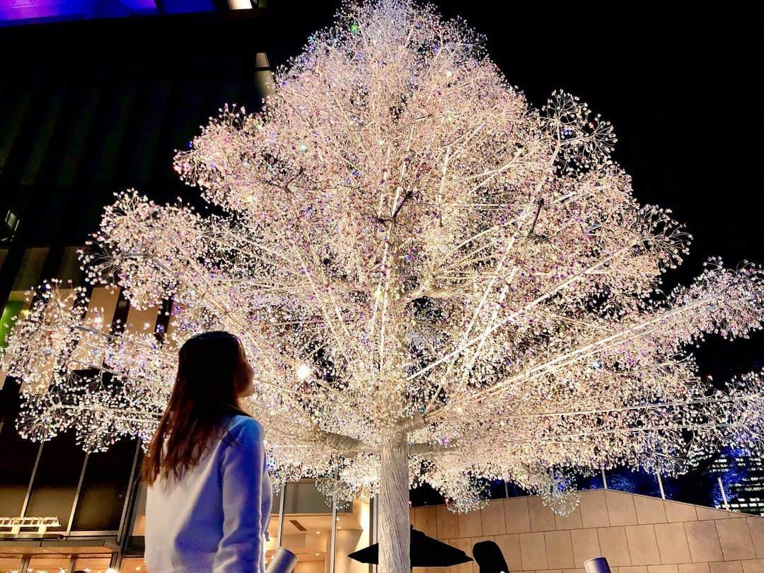 金泉紗恵子のインスタグラム