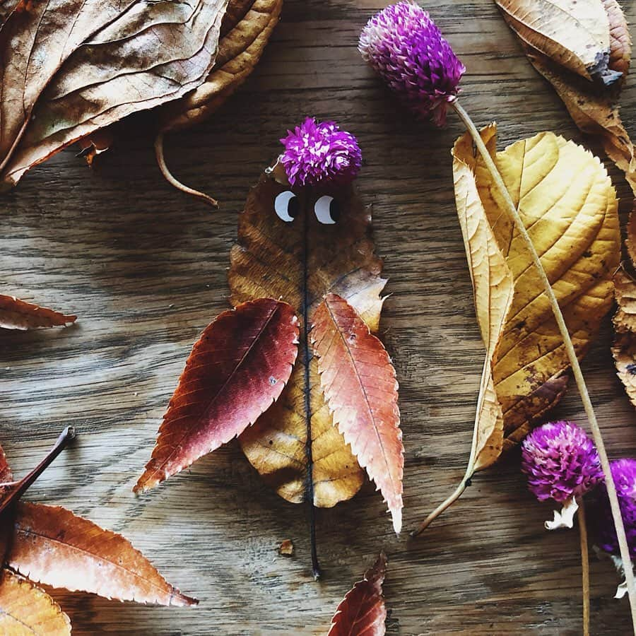 宇藤えみさんのインスタグラム写真 - (宇藤えみInstagram)「秋の宝物で一緒に作った作品。 息子が魚やうさぎさんみたいだねぇと言った葉っぱはその動物たちに。 ライオンやゾウさんやパンダは母ちゃんにはレベルが高すぎて聞き流しました…ごめんねw 魚は楽( @chikage1212 の息子くん)と見たメダカなんだよ。 どんぐりは魚のごはんだよ。 木はまさき君 @masaki_tainaka とした焚き火なんだよ。 折れてしまい捨てようとしたらめっちゃ怒られたピンクのお花はプリンセスの妖精！！(写真4枚目) 薔薇のドライフラワーは @yukobito1981 がくれたから大事なんだよって妖精に持たせてました。 少しでも動かすとめっちゃ怒られるw けど楽しい記憶と遊びが繋がっていて 見ていてほっこりしたなぁ♡ 30秒ですぐなくなった息子の作品✌︎ #秋の宝物#季節の遊び#成長記録」11月13日 19時58分 - emiuto