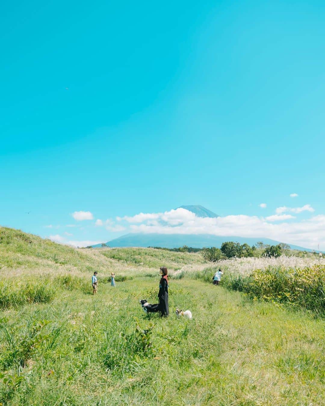 Kobe Japan Water artのインスタグラム：「"a lot of casts🚶🏻‍♂️🚶‍♀️🕴🐕". モデル過多？？. －－－－－－－－－ －－－－－－. よく見たら色んな人が色んなことしててなんか自分のツボにはまった写真📸 最近、雪の積もった富士山が撮りに行きたくてしょうがない毎日なので、誰か付き合ってください🗻」