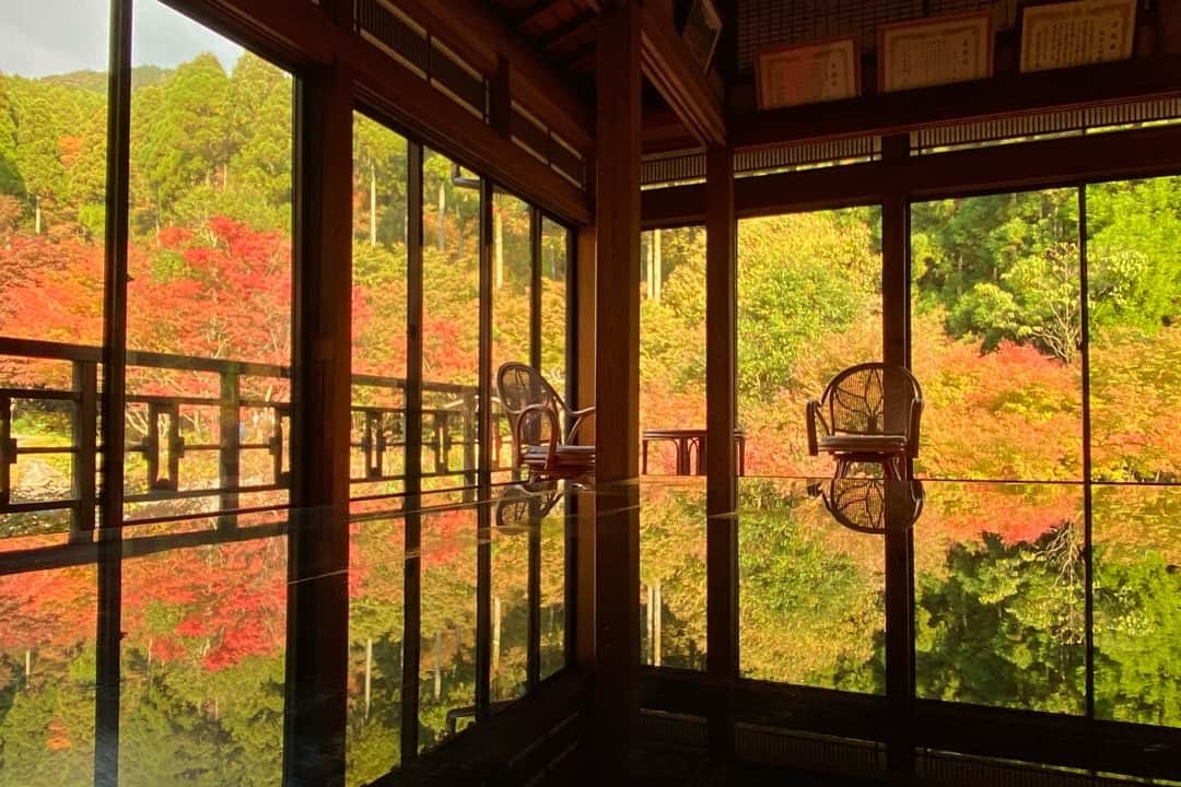 現地発信の旅行サイト「たびらい」さんのインスタグラム写真 - (現地発信の旅行サイト「たびらい」Instagram)「【佐賀・唐津】唐津の環境芸術の森にある、100年前に建てられた旧家の廃材で作られた「風遊山荘」。秋は、漆のテーブルに紅葉が写り込む様子が美しく、この時期しか見られない幻想的な景色を堪能できます。特別観覧期間は11月30日（土）（※予定）まで。ぜひ足を運んでみてくださいね。⠀ ：⠀ #唐津 #佐賀 #たびらい #tabirai #ローカル旅行 #旅行好き #女子旅 #旅行 #旅行好きな人と繋がりたい #travel #九州旅行 #たびらい九州 #唐津環境芸術の森 #環境芸術の森 #紅葉 #もみじ🍁 #紅葉狩 #風遊山荘 #もみじ #映え #インスタ映え #フォトジェニック #紅葉狩り #きれい #紅葉スポット #autumn #アート #winter #写真好きな人と繋がりたい #photo」11月13日 21時30分 - tabirai
