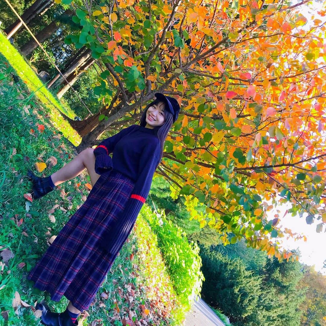 吉田万葉さんのインスタグラム写真 - (吉田万葉Instagram)「紅葉🍁と桜🌸 この前ピク📸  #紅葉 #十月桜 #秋コーデ #ニット #jk #jk1 #girl #outfit #Instagram」11月13日 22時05分 - manyo.0122