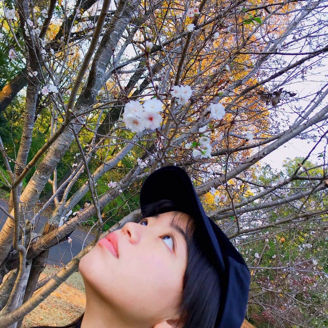 吉田万葉さんのインスタグラム写真 - (吉田万葉Instagram)「紅葉🍁と桜🌸 この前ピク📸  #紅葉 #十月桜 #秋コーデ #ニット #jk #jk1 #girl #outfit #Instagram」11月13日 22時05分 - manyo.0122