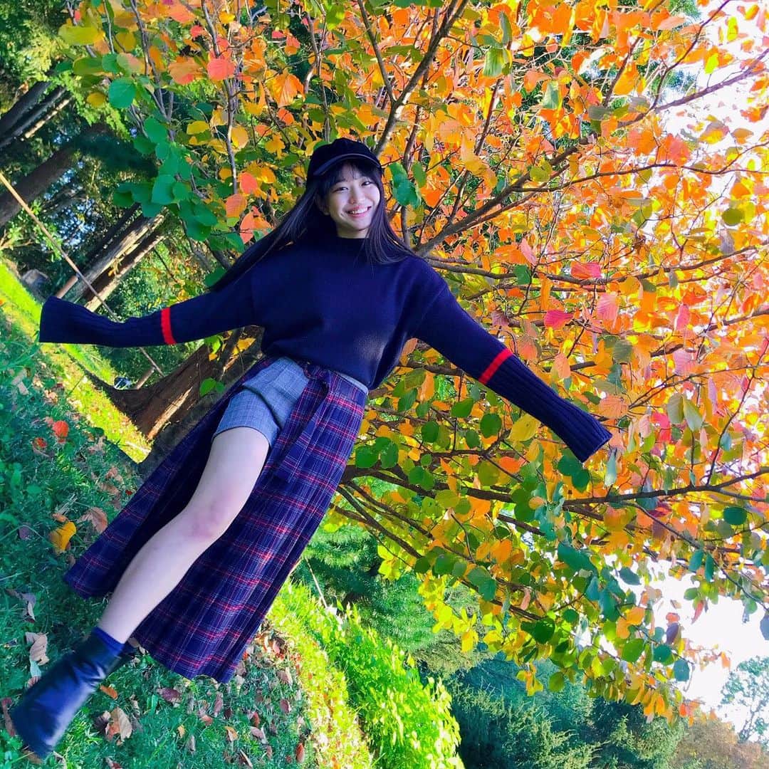 吉田万葉のインスタグラム：「紅葉🍁と桜🌸 この前ピク📸  #紅葉 #十月桜 #秋コーデ #ニット #jk #jk1 #girl #outfit #Instagram」