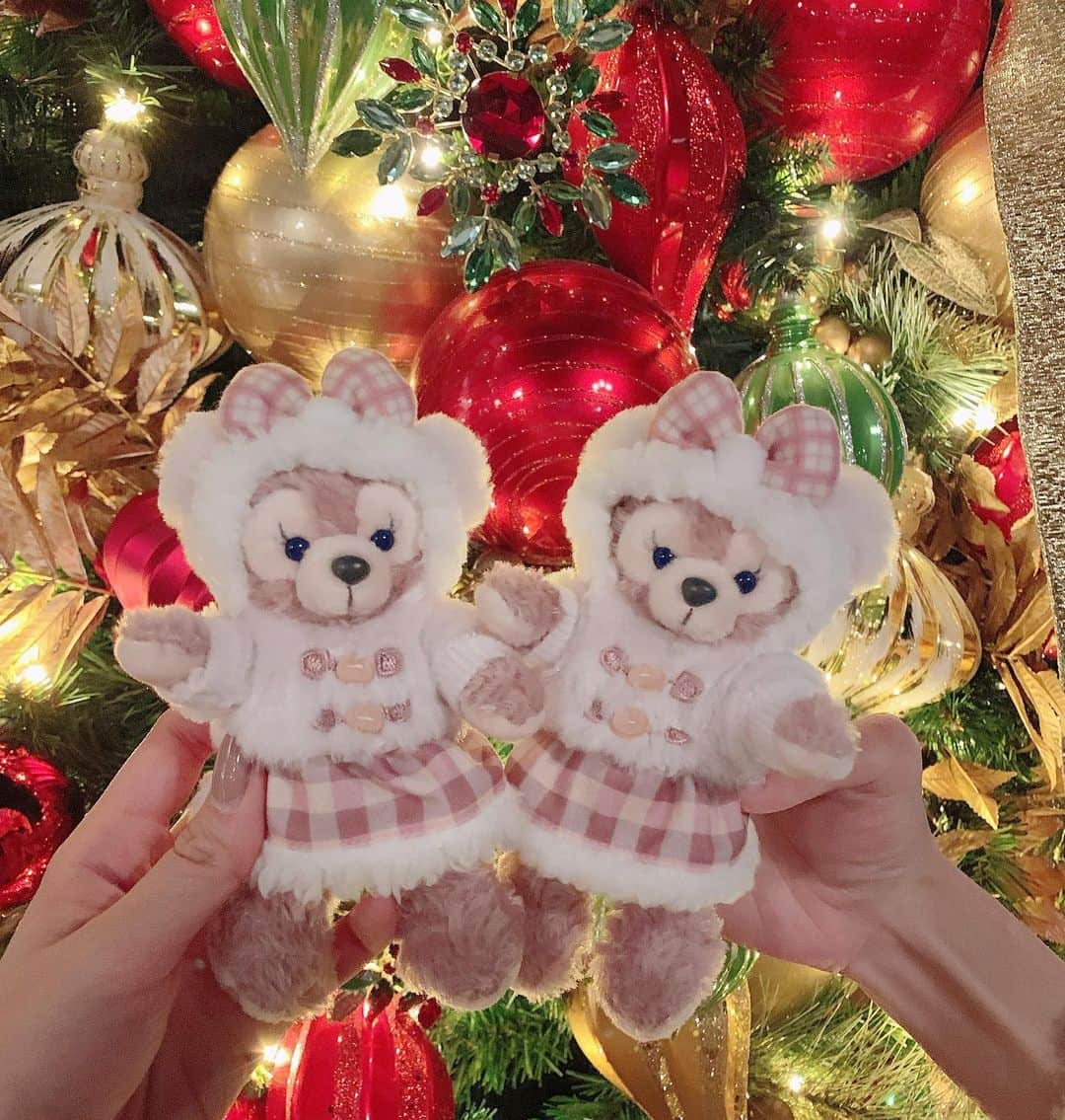 SHIHORINさんのインスタグラム写真 - (SHIHORINInstagram)「♡﻿ ﻿ ﻿ かちたんとおそろ🎀﻿ かわいすぎてずっと眺めてられる🎄🧸❤️﻿ ﻿ ﻿ #disney#disneysea#tokyodisneysea#tokyodisneyresort#disneychristmas#disneychristmas2019#shelliemay#ディズニー#ディズニーシー#東京ディズニーシー#東京ディズニーリゾート#ディズニークリスマス#ディズニークリスマス2019#ダッフィーフレンズ#ウィンターホリデー#シェリーメイ」11月13日 22時08分 - shihoriiin49