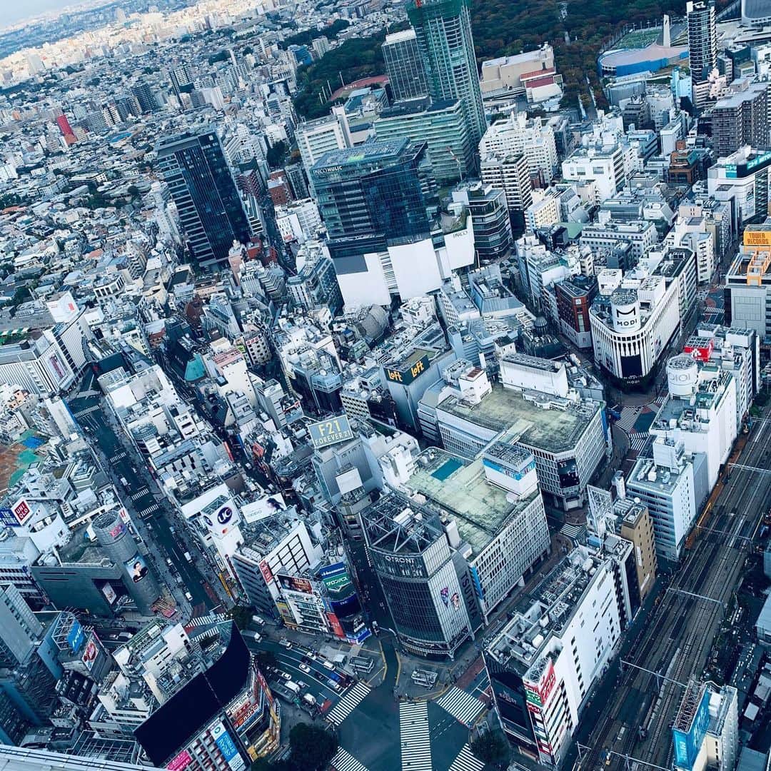 金子昇さんのインスタグラム写真 - (金子昇Instagram)「TOKYO😆SHIBUYA  #tokyo  #shibuya  #スクランブル交差点 #空 #都会 #絶景 #日本」11月13日 22時16分 - noboru_kaneko_official