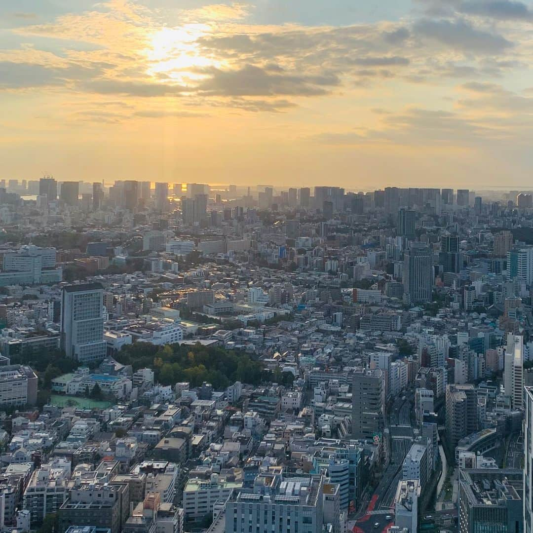 金子昇さんのインスタグラム写真 - (金子昇Instagram)「TOKYO😆SHIBUYA  #tokyo  #shibuya  #スクランブル交差点 #空 #都会 #絶景 #日本」11月13日 22時16分 - noboru_kaneko_official