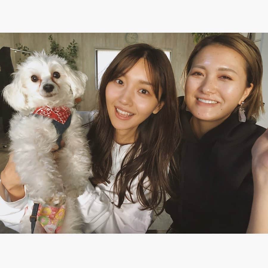 静麻波さんのインスタグラム写真 - (静麻波Instagram)「昨日は急遽モナちゃんも一緒にスタジオへ🐏❄️ 絶対離れたくないのか私の腕をがっちりホールド😂笑  みんなに可愛がってもらって良かったね❤️」11月13日 22時39分 - manami_shizuka
