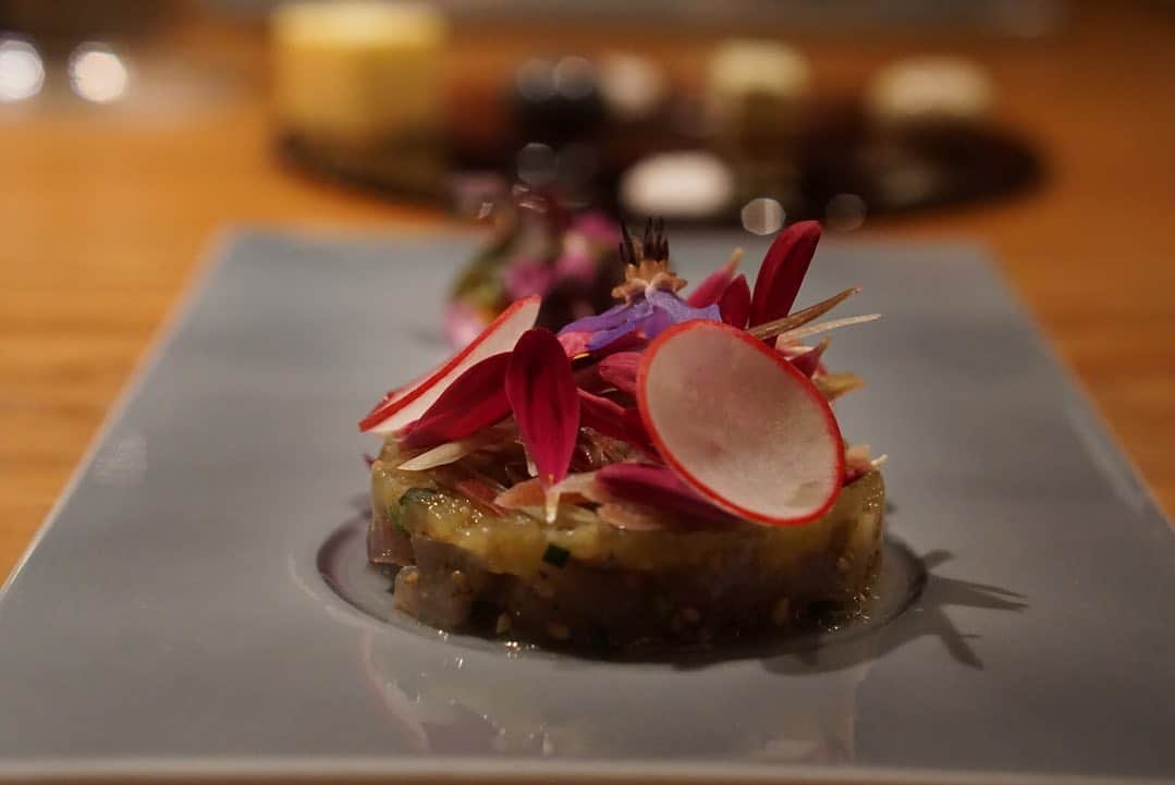 高井直子のグルメインスタ