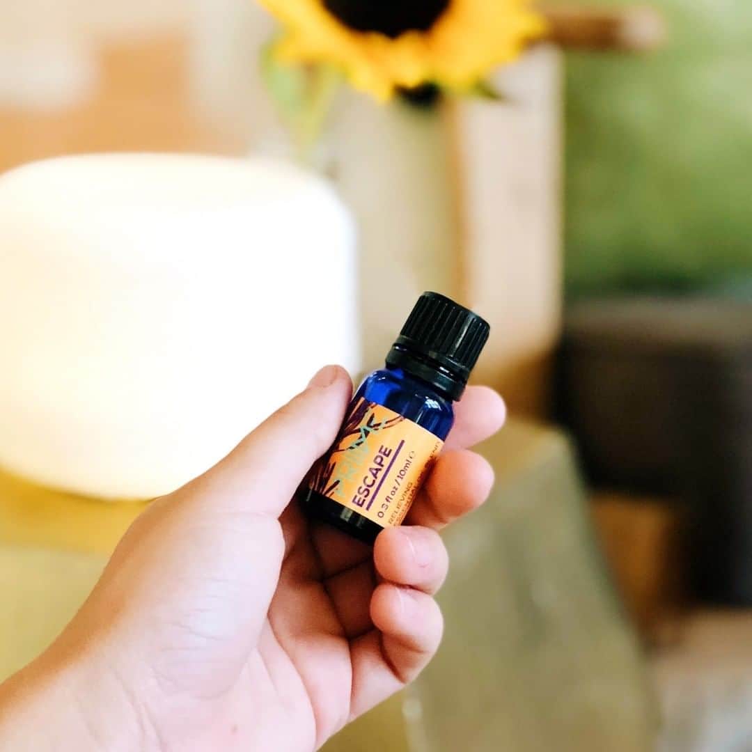 ARIIX Officialさんのインスタグラム写真 - (ARIIX OfficialInstagram)「🙌Need to escape? Take a break by simply uncapping a bottle. ⁠ —⁠ Long prized for its therapeutic properties, precious frankincense meets with fragrant helichrysum, soothing Roman chamomile, and bracing spearmint to help ease tension, reduce stress, and uplift your mood.😊⁠ .⁠ .⁠ .⁠ .⁠ .⁠ #PRIIMEessentialoils #EssentialOils #PriimeEscape #Escape #escaperelievingblend #Ice #Icesoothingblend # #aromatherapy #natural #wellness #healthyliving #health #meditation #naturalhealth #oils #healthy #healing #naturalliving⠀ #Franincense #helichrysum #romanchamomile #bracingspearmint ⁠ ⁠」11月13日 22時55分 - partnercoglobal