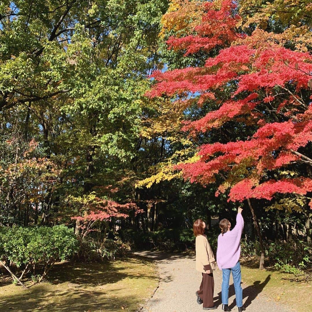 猪鼻ちひろのグルメインスタ