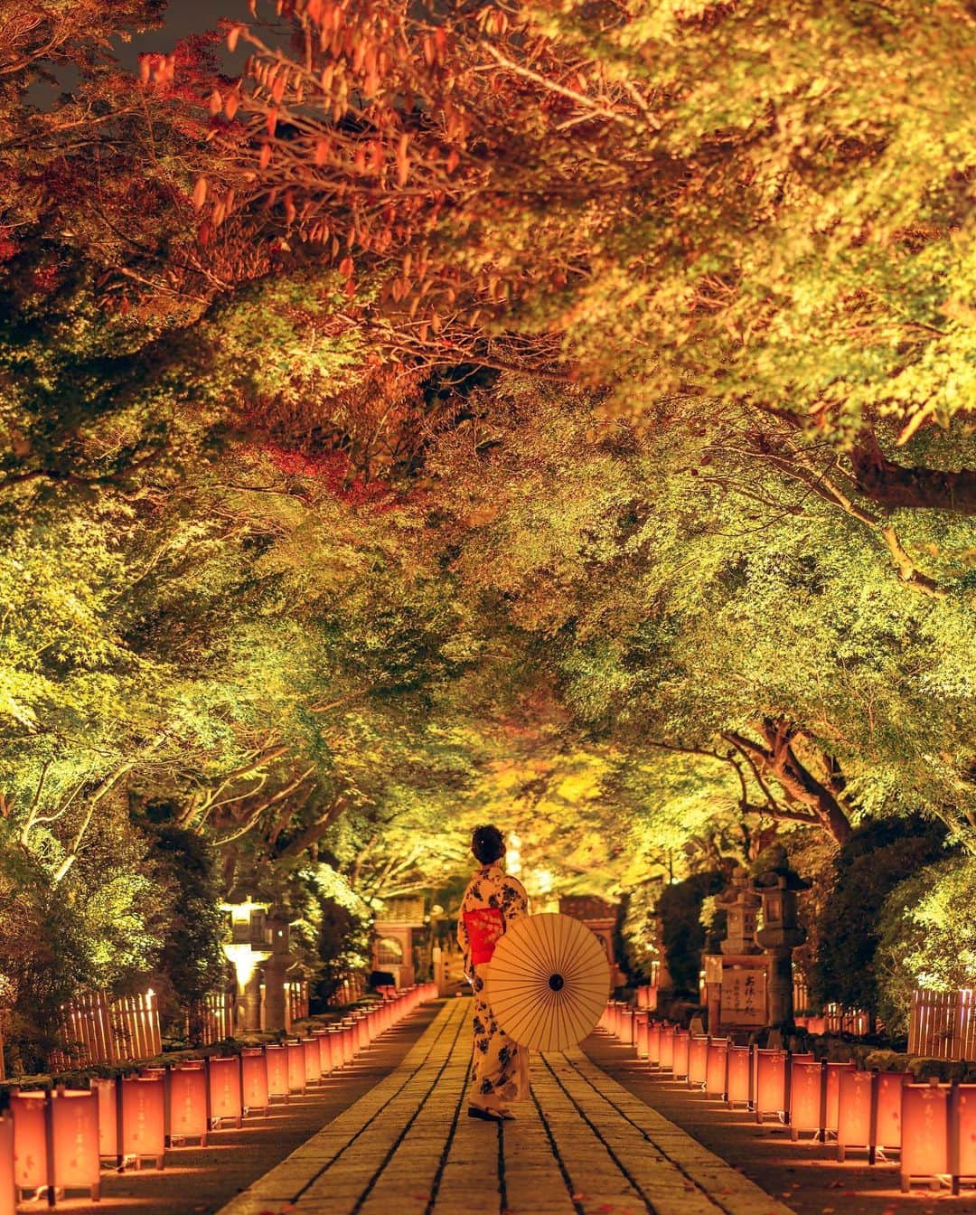 Takefumi Tezkaのインスタグラム：「✴︎石山寺ライトアップ2019 ✴︎ ✴︎久しぶりの撮影でした✨ ✴︎ほぼ撮って出し📷 ✴︎現像はまたじっくりします🤣 ✴︎ ✴︎🍁11/15〜12/1の期間でライトアップされています🍁 ✴︎ ✴︎ #igshotz#inspiring_shot #awesomeglobe #awesome_earthpix#worldprime #awesomeearth#whpnaturallight #wonderful_places#beautifuldestinations#japan#紅葉#石山寺 #earthpix #earthfocus #hubs_united#hubsplanet #earth_shotz#awesome_photographers  #earthofficial #fantastic_earth#discoverearth」